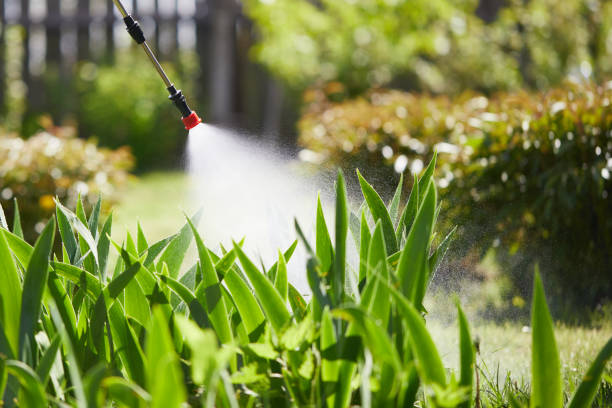 24/7 Emergency Mosquito Control experts in Bear Valley Springs, CA